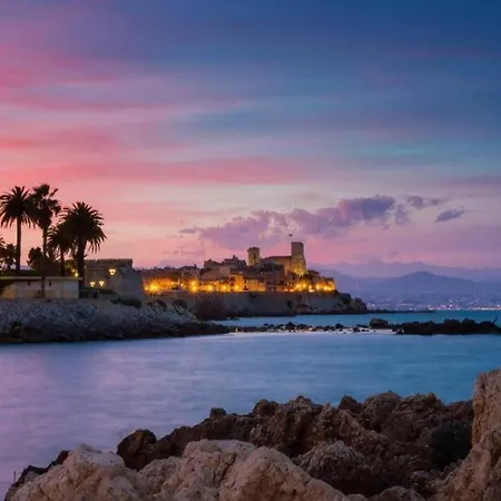 Superbe Studio Plein Pied Grand Jardin A 500m De La Plage 昂蒂布