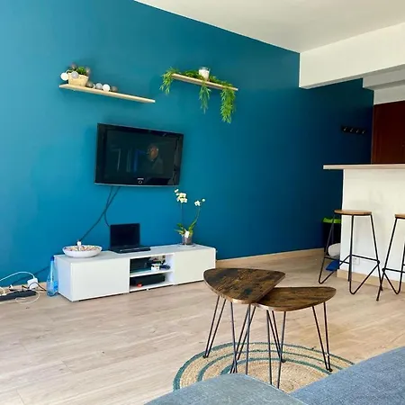 Superbe Studio Plein Pied Grand Jardin A 500m De La Plage 公寓 昂蒂布